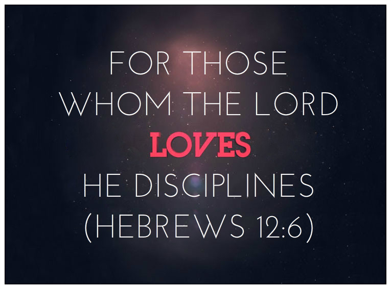 26436504412_799f9d017a_c